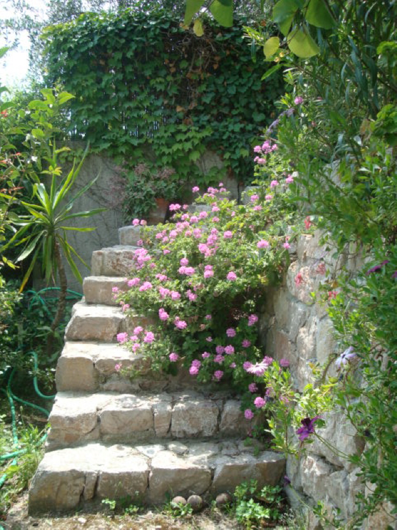 escalier pour l'amendier